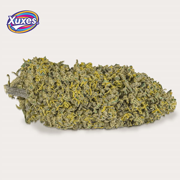 Amnesia CBD > Xuxes | Productos CBD